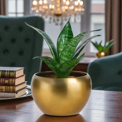 Sansevieria plant in a round gold metal planter, ideal for home or office decor, part of the Mothers Day Magnet Plant Gift combo.