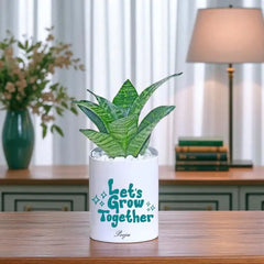 Lets Grow Together Personalised Sanseveria Snake Plant