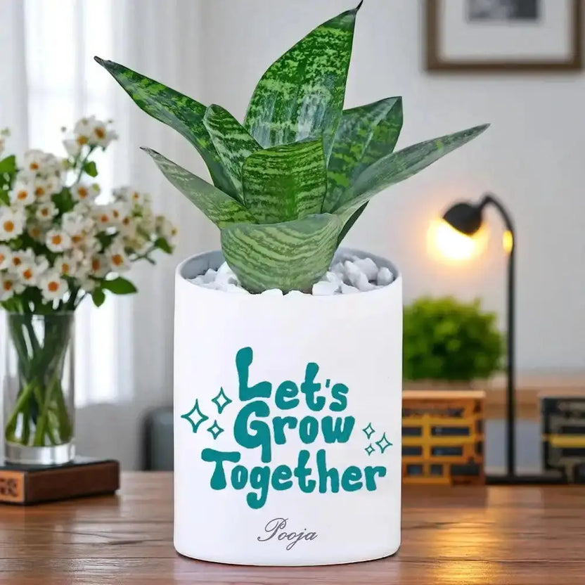 Sansevieria Snake Plant in white ceramic pot with 'Let's Grow Together' text, personalized with name, ideal air-purifying indoor gift plant. Main image