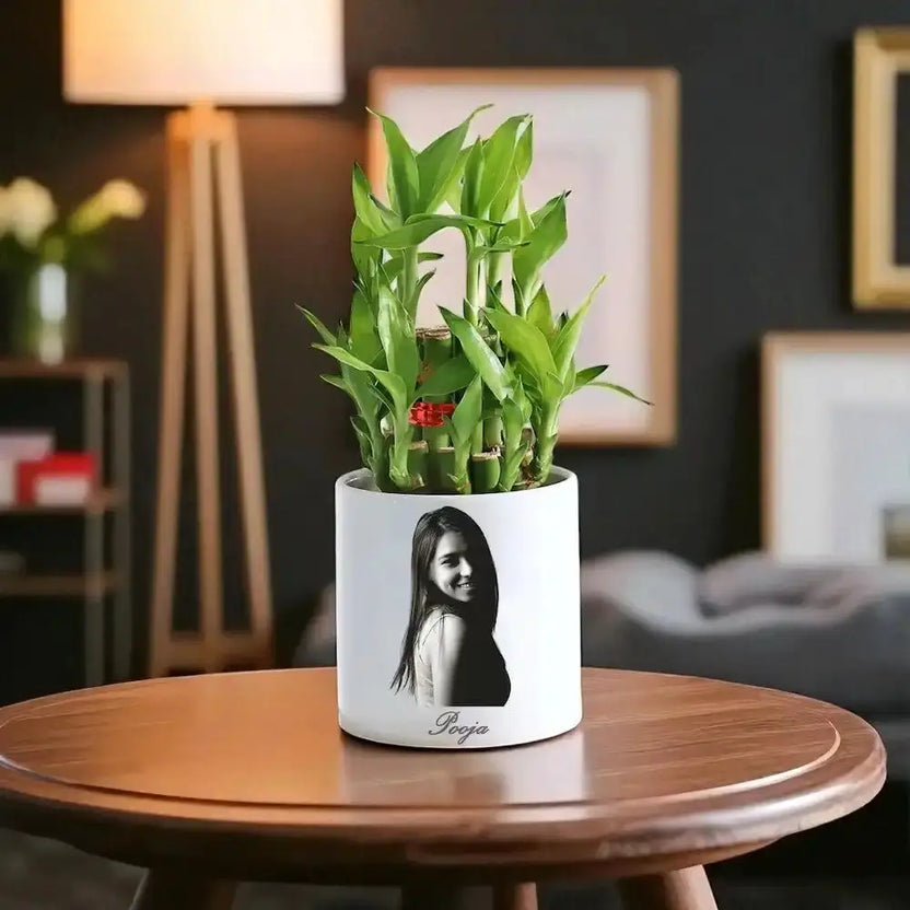 Personalised Vibrant 2 Layer Bamboo Plant in custom white ceramic pot with photo and name, ideal for home or office decor and gifting. Main image