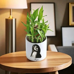 Customizable 2 Layer Bamboo Plant in white pot with photo and name, great for desks, birthdays, and home decor in indoor or outdoor settings.