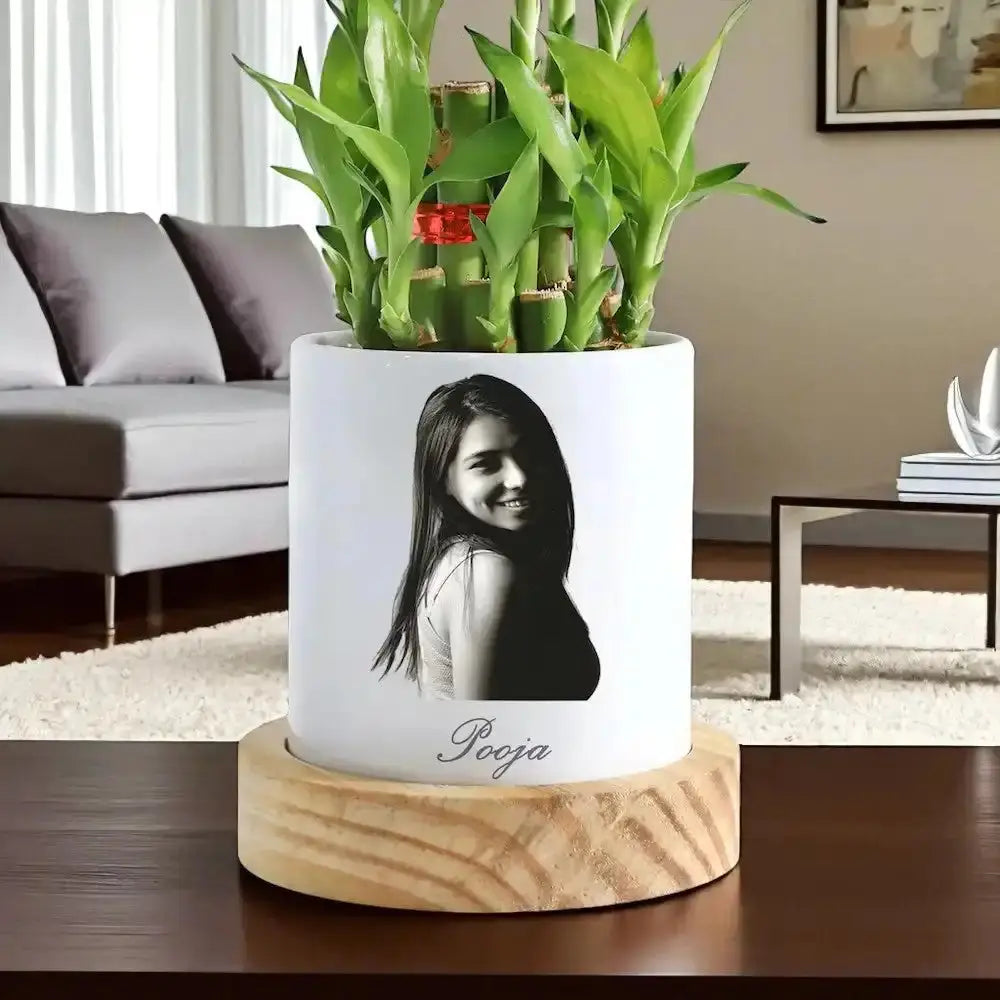 Vibrant Bamboo Plant - Personalized Gift with custom photo and name engraving on pot, perfect for indoor spaces and symbolic of good fortune.