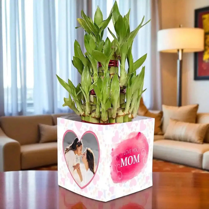 Love U Mom Bamboo Plant - Personalized Gift in a white square pot with custom photo and pink heart design, ideal for home decor or gifting. Main image