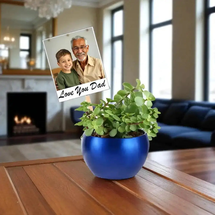 Jade Plant Fathers Day Gift in blue metal pot with custom photo magnet reading 'Love You Dad', placed on a wooden table in a cozy living room. Main image