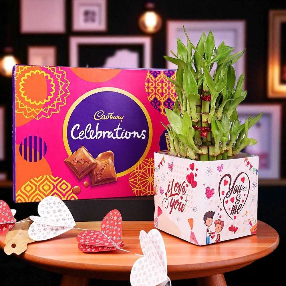 Love Bamboo With Cadbury Combo featuring a lush lucky bamboo plant in a romantic printed planter with Cadbury Celebrations gift box, ideal for gifting. Main image