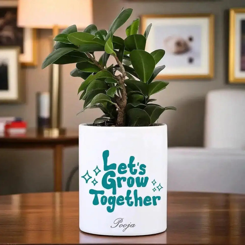 Ficus Compacta Bonsai in personalized white ceramic pot with 'Let's Grow Together' text, ideal indoor plant gift for home or office decor. Main image