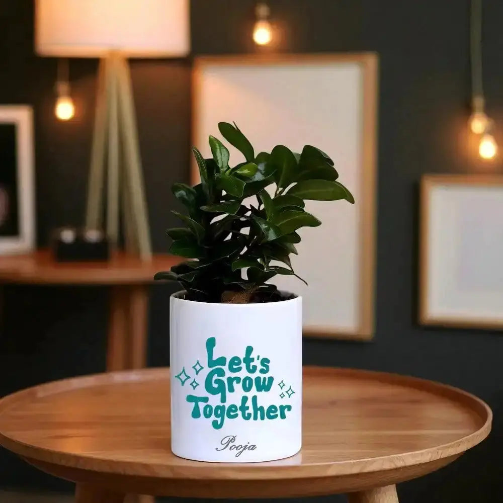 Low maintenance Ficus Compacta Bonsai in custom pot with name 'Pooja', perfect for gifting and enhancing modern indoor spaces.