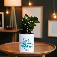Low maintenance Ficus Compacta Bonsai in custom pot with name 'Pooja', perfect for gifting and enhancing modern indoor spaces.