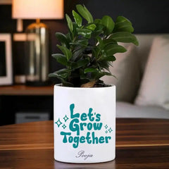 Personalized Ficus Compacta Bonsai in white planter with teal typography, great for birthdays, home decor, or office plant gifts.