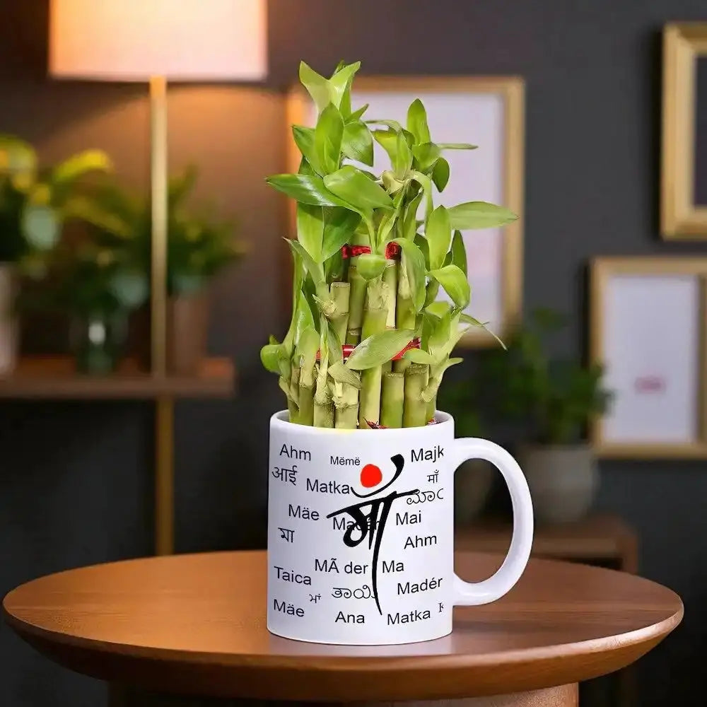 Lucky Bamboo Plant in Special Maa Mug featuring 'Mother' in various languages, perfect for indoor decor and thoughtful gifting on special occasions.