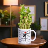 Lucky Bamboo Plant in Special Maa Mug featuring 'Mother' in various languages, perfect for indoor decor and thoughtful gifting on special occasions.