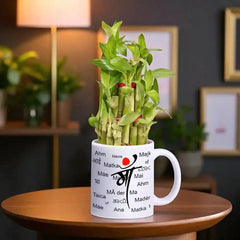 Lucky Bamboo Plant in Special Maa Mug featuring 'Mother' in various languages, perfect for indoor decor and thoughtful gifting on special occasions.