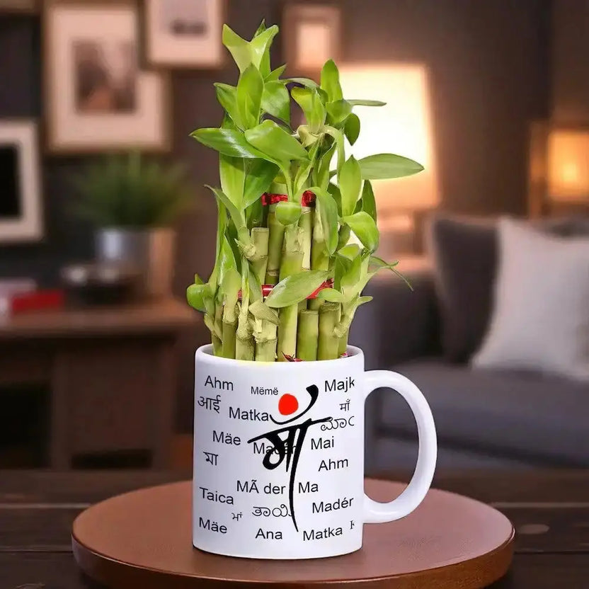 Special Maa Mug with Lucky Bamboo Plant Gift placed on a wooden table, ideal for home decor and gifting. Ceramic mug is microwave safe and leak-proof. Main image