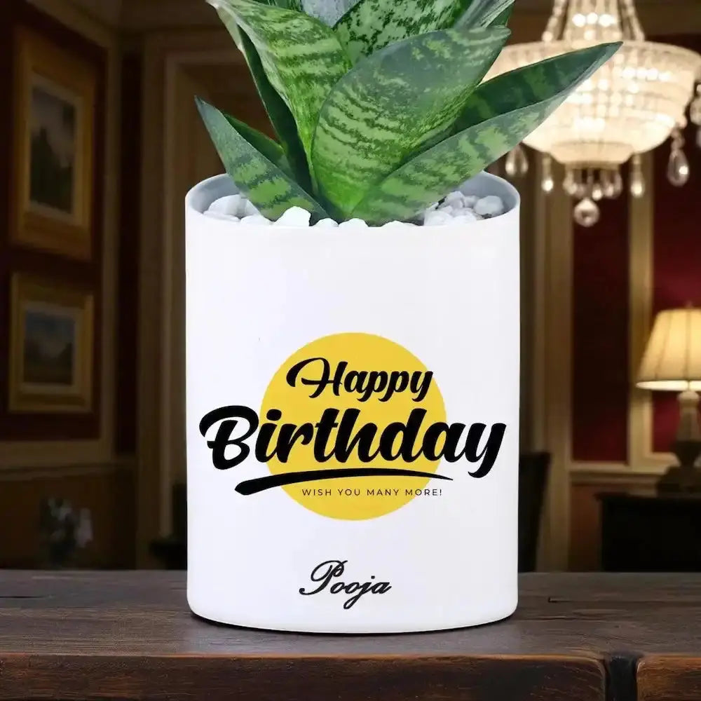 Custom ceramic pot with Personalized Birthday Snake Plant and name inscription, stylish green gift for indoor spaces and celebrations.