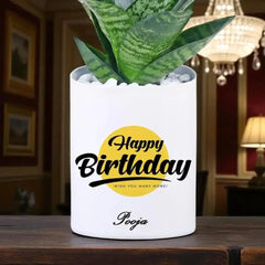Custom ceramic pot with Personalized Birthday Snake Plant and name inscription, stylish green gift for indoor spaces and celebrations.