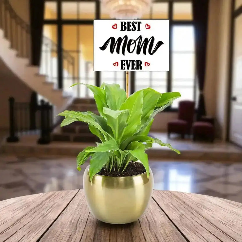 Peace Lily Plant Gift for Mom in a gold metal pot with 'Best Mom Ever' sign, ideal for indoor decor and Mother's Day gifting. Main image