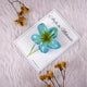 Henna Hues Clips