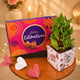 Love Bamboo With Cadbury Combo