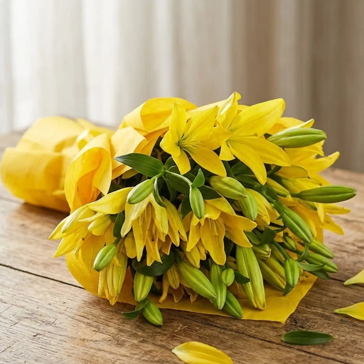 Lovely Asiatic Lilies Bunch arranged in packaging, close-up