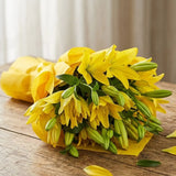 Lovely Asiatic Lilies Bunch arranged in packaging, close-up