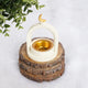 Pearl Crescent Burner