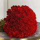 Luxurious Red Roses Bouquet - Express Love | Perfect Romantic Gift with hundreds of vibrant red roses, elegantly arranged for romantic celebrations.