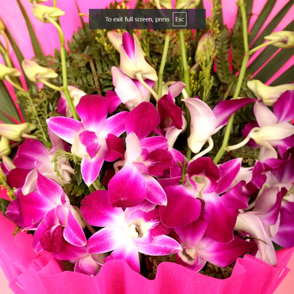 Close-up of fresh cut purple orchids with white accents, elegantly arranged for a stunning gift on special occasions.