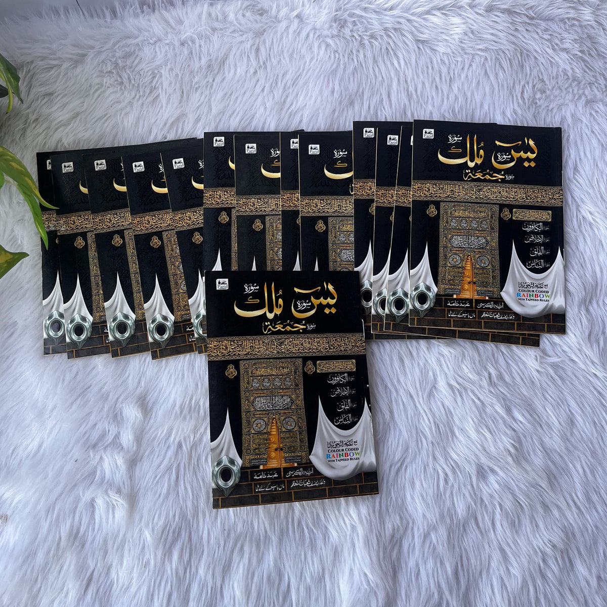 30 Para Arabic Quran